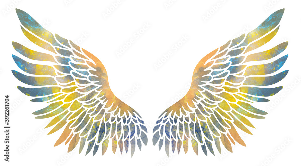 Obraz premium Beautiful magic yellow blue wings, raster