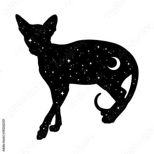 Silhouette of cat with crescent moon and stars isolated. Sticker, print or tattoo design vector illustration. Pagan totem, wiccan familiar spirit art photo