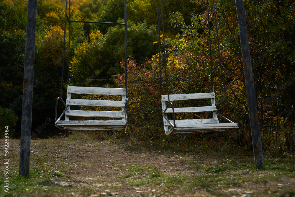 Empty swing with green trees on background. Wooden swing