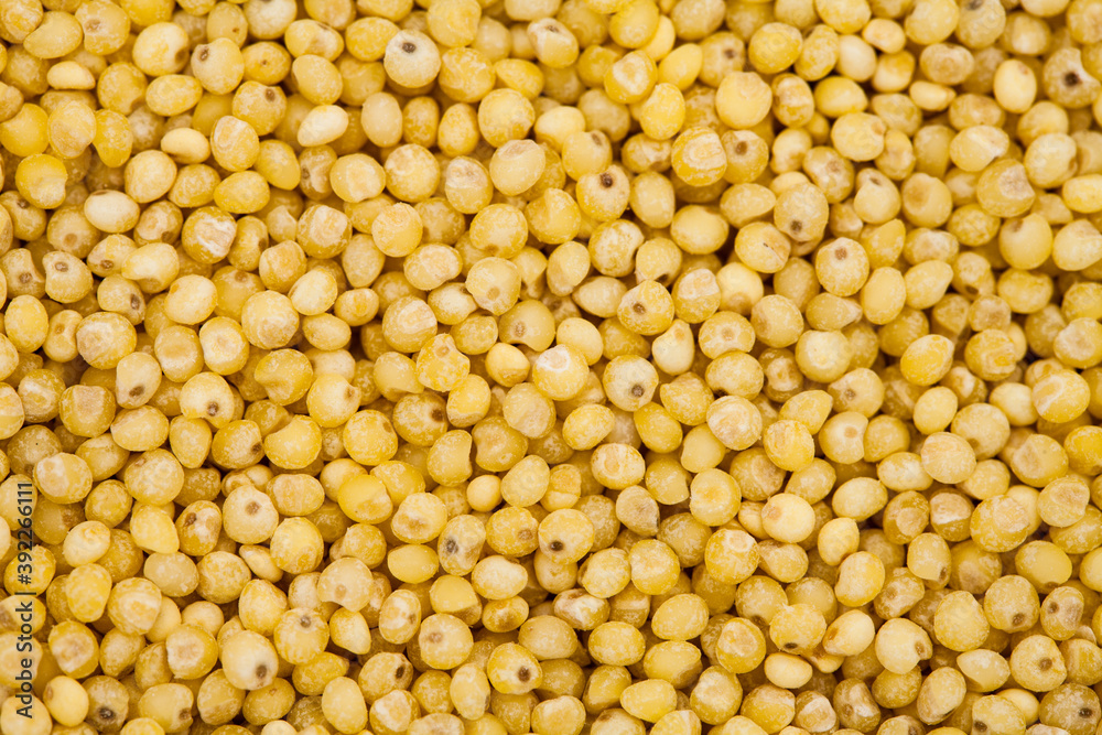 Top view of millet background image Top view of millet background image