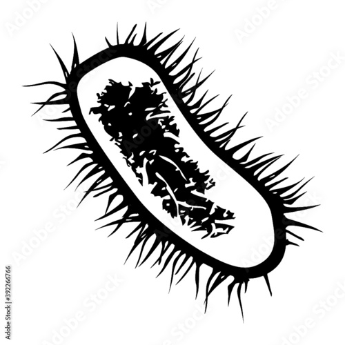 virus