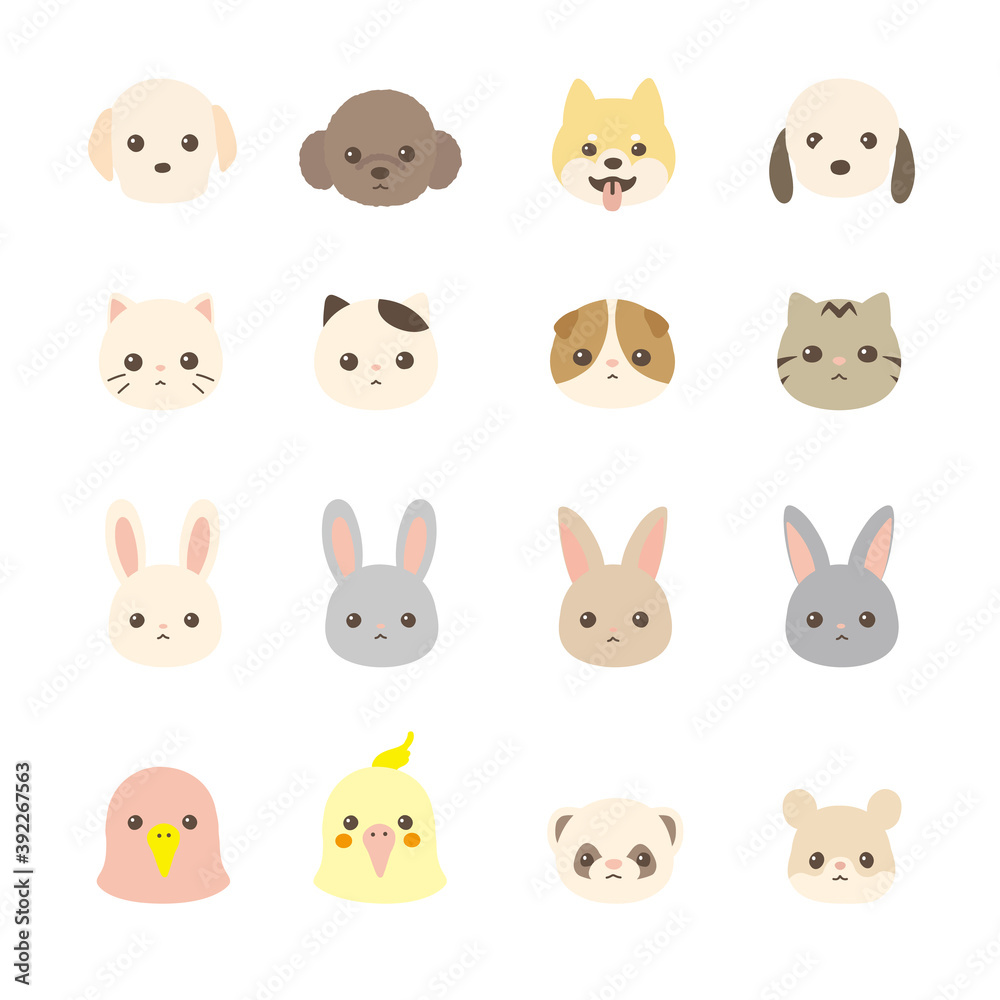 ペット 動物の顔のアイコンセット 犬、猫、うさぎ、フェレット、小鳥、ハムスター ペット 動物の顔のアイコンセット 犬、猫、うさぎ、フェレット、小鳥、ハムスター