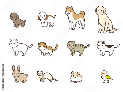ペット　動物のベクターイラストセット　犬、猫、うさぎ、フェレット、ハムスター、小鳥