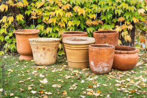 Fototapeta Naklejka Na Ścianę i Meble -  Autumn cleanups empty flower pots in the garden