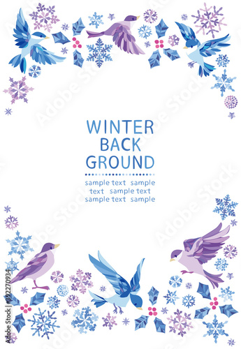 冬　雪の結晶　小鳥フレーム