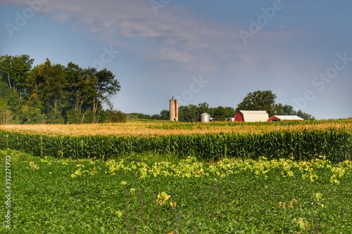 1252 - Across the Field in Clifford photo