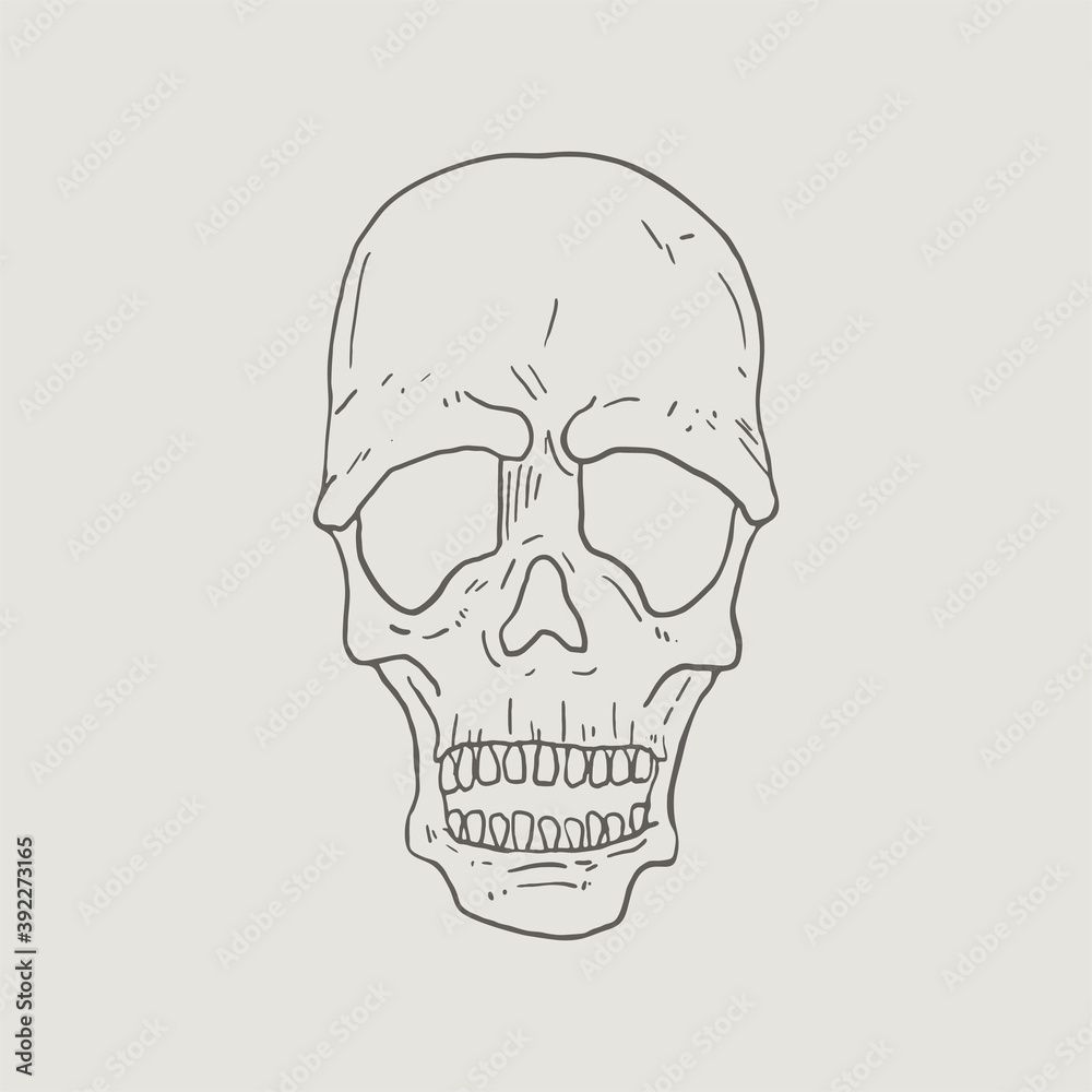 Design of skull hand draw