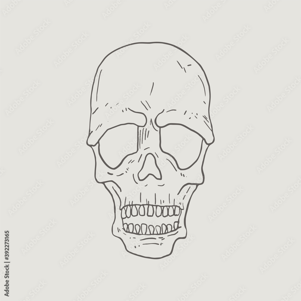 Design of skull hand draw Design of skull hand draw