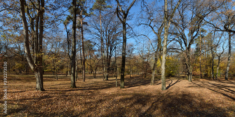 Autumn walks through fields and forests, beautiful panorama. Autumn walks through fields and forests, beautiful panorama.