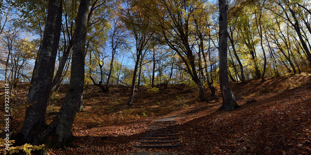 Autumn walks through fields and forests, beautiful panorama. Autumn walks through fields and forests, beautiful panorama.