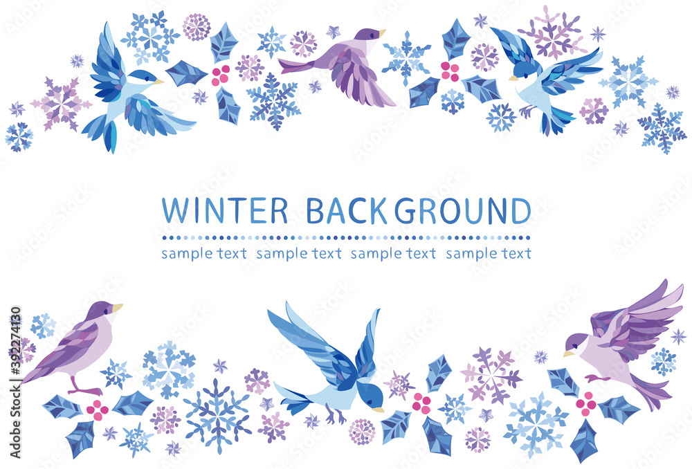 冬　雪の結晶　小鳥フレーム