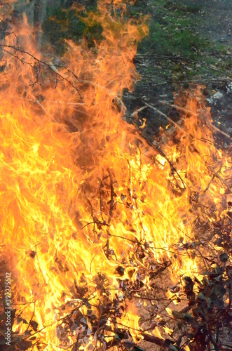 Pożar , Płonie las , Pożar lasu , styrta się pali ,ogień, płomieni, ognisko, ciepło, oparzenia, gorąco, gorąca, noc, ognisko, czerwień, drewna, płomieni, pomarańcz, iskra
