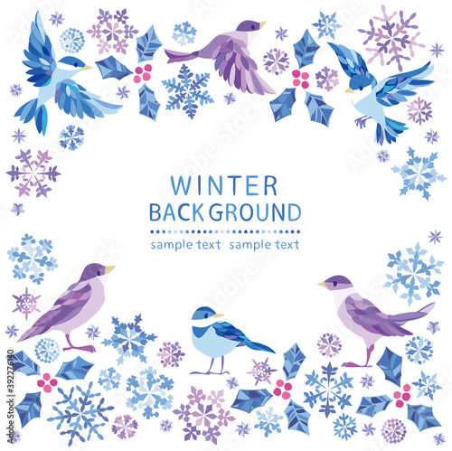 冬　雪の結晶　小鳥フレーム