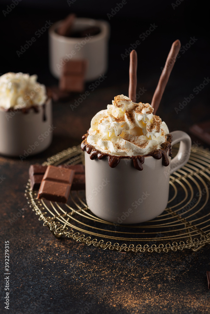 A cap of hot chocolate with whipped cream