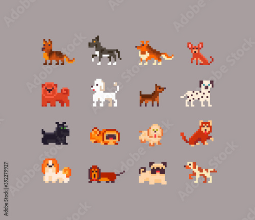 Canvas Print Pixel art set of dogs different kinds.