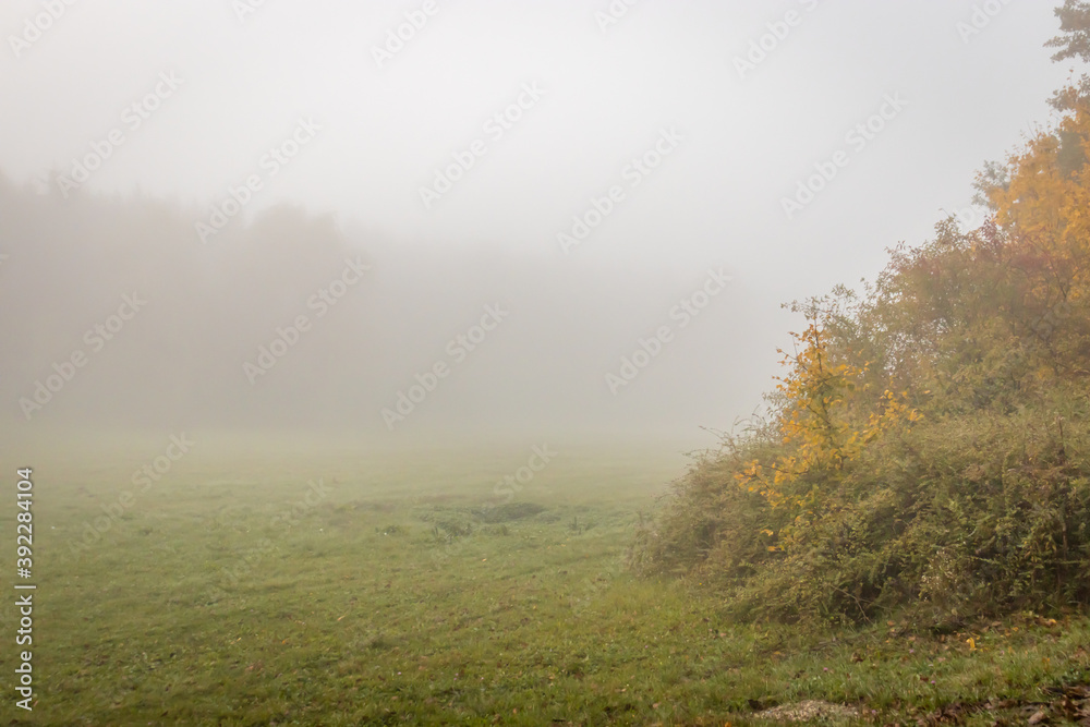 Foggy autumn morning at Spring Aranyoslapi in City Zalaegerszeg, Hungary Foggy autumn morning at Spring Aranyoslapi in City Zalaegerszeg, Hungary