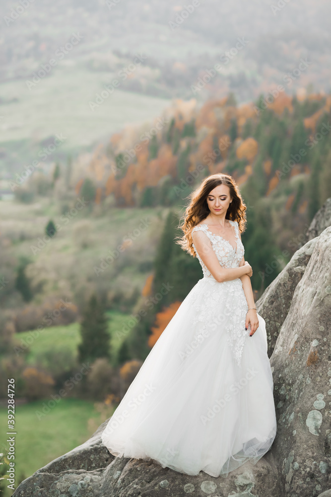 Beautiful bride posing near rocks against background the mountains