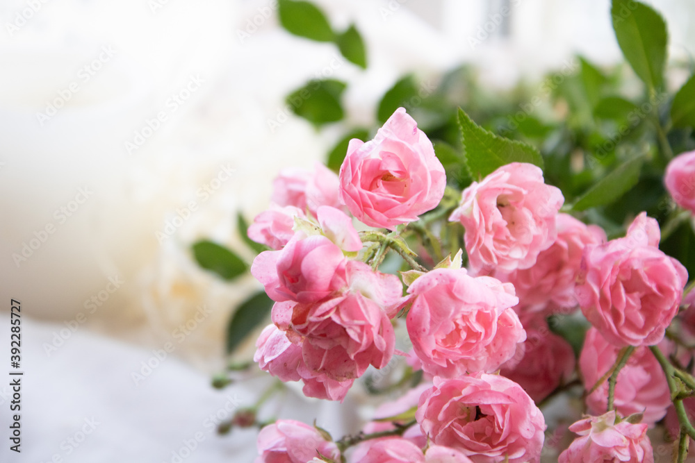 pink roses bouquet pink roses bouquet