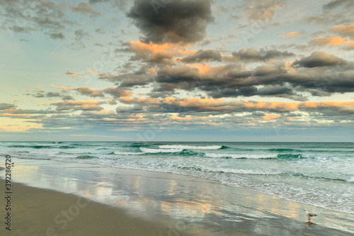 St. Clair Beach at sunset, Dunedin, Otago, South Island, New Zealand, Pacific photo