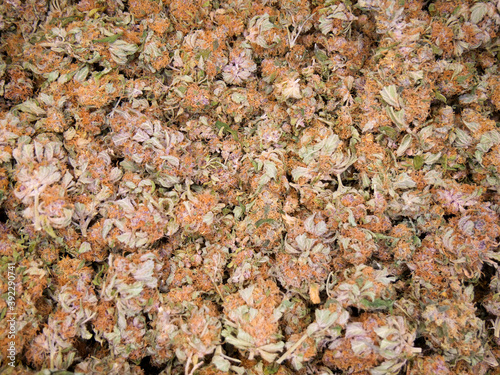Dry cannabis buds background