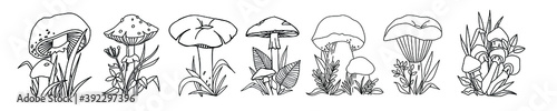 A set of mushrooms. Edible and poisonous mushrooms, 7 pieces. Black and white image isolated on white background. Idea for teaching, raskarashivani, children's creativity