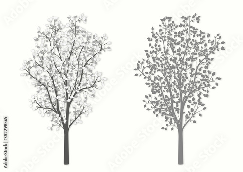Drawing of a tree in two versions in vintage style on a light background