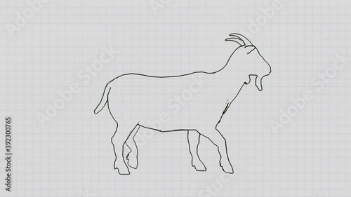 Animation of an adult goat with horns walking forward on a paper background. Walking goat on a notepad background.
