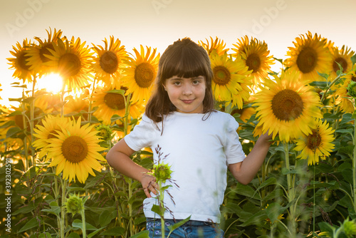 September 2020, Bibbiano, Italy. Sweet little girl poses for a photograph in a sunflower field photo