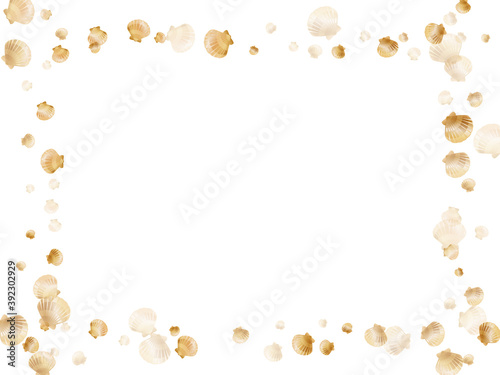 Gold chic seashells vector illustration, marine mollusks shells