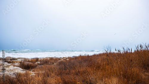 Autumn sea landscape. Dry yellow reeds on the shore. Dark and dramatic storm clouds background.