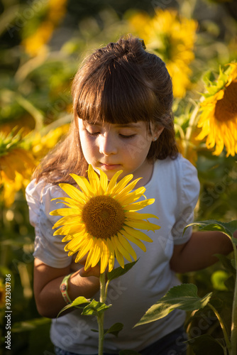 September 2020, Bibbiano, Italy. Sweet little girl poses for a photograph in a sunflower field