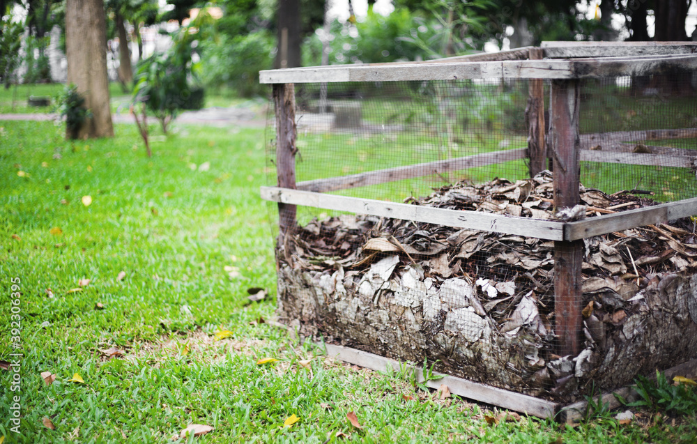 dry leaves on basket to making fertilizer for planting dry leaves on basket to making fertilizer for planting