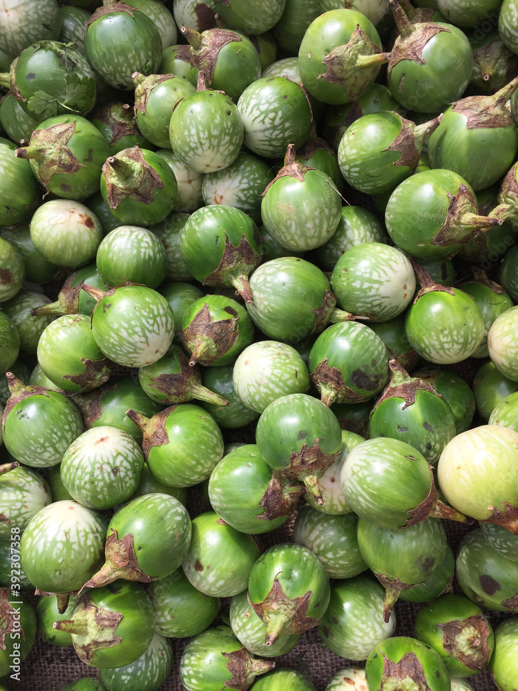 Thai green eggplant