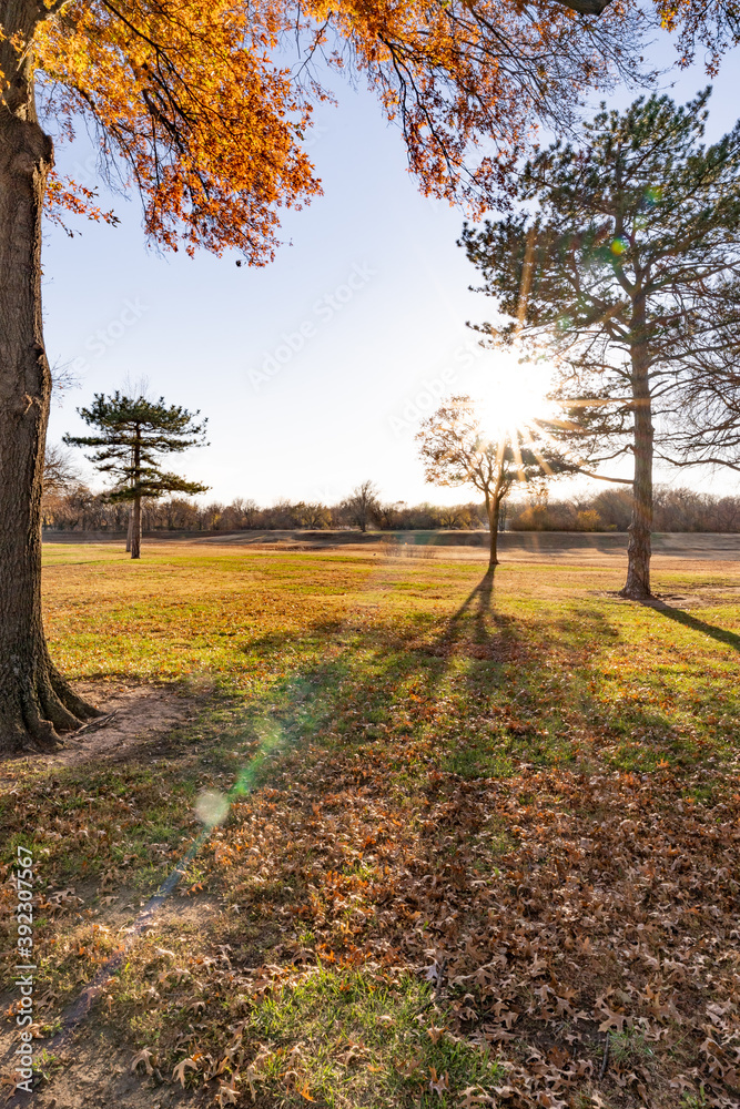 Fototapeta premium autumn in the park Kansas