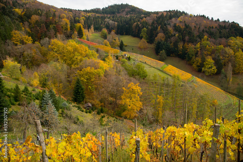 Herbstliches Glottertal im Schwarzwald photo