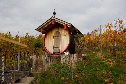 Herbstliches Glottertal im Schwarzwald photo