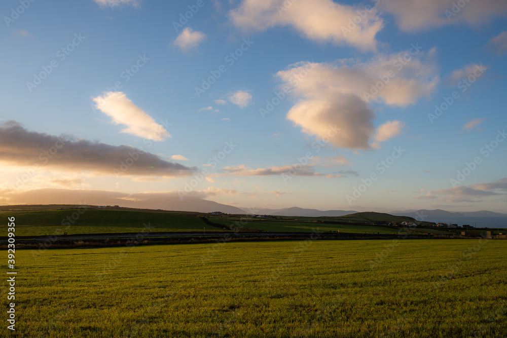 Green rural fields under blue sky in sunset Green rural fields under blue sky in sunset