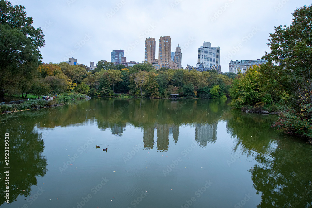 Trees and buildings reflect off the Lake in Central Park, New York City