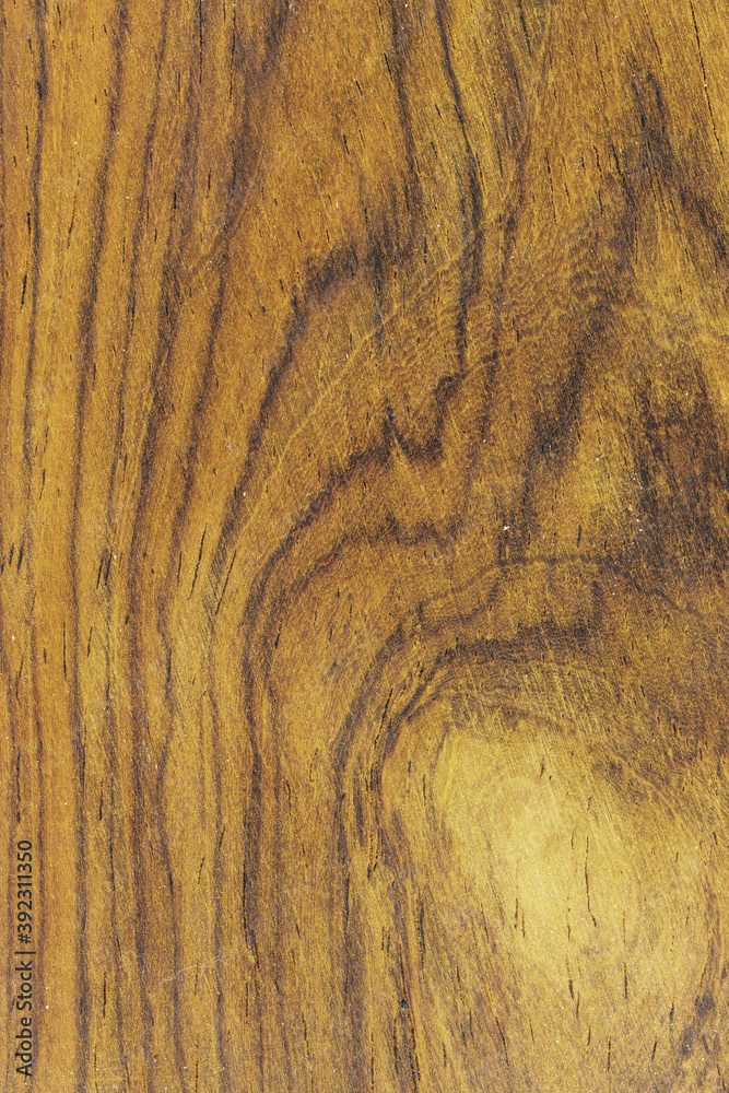 Wood Cross Section Texture Background Stock Photo | Adobe Stock