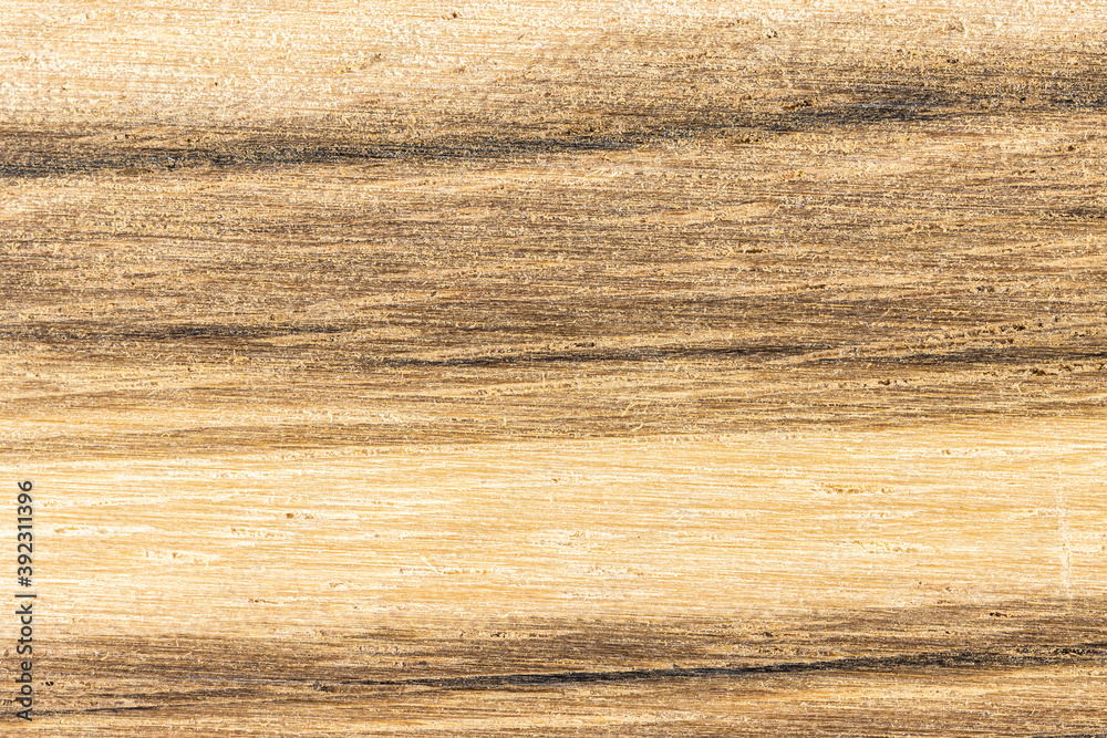 Wood Cross Section Texture Background Stock Photo | Adobe Stock