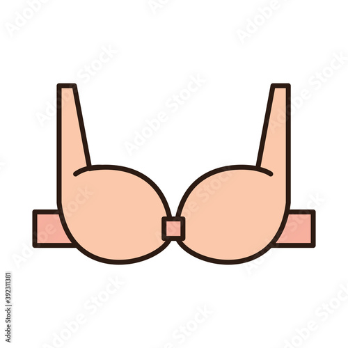 bra underwear fashion accessory female clothes line and fill icon