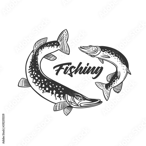 Fishing illustration. Fresh seafood template design.