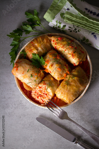 Cabbage rolls with meat, rice and vegetables. Chou farci, dolma, sarma, golubtsi or golabki. Flat lay, layout, overhead photo