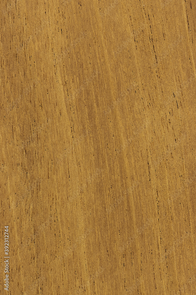 Wood Cross Section Texture Background Stock Photo | Adobe Stock