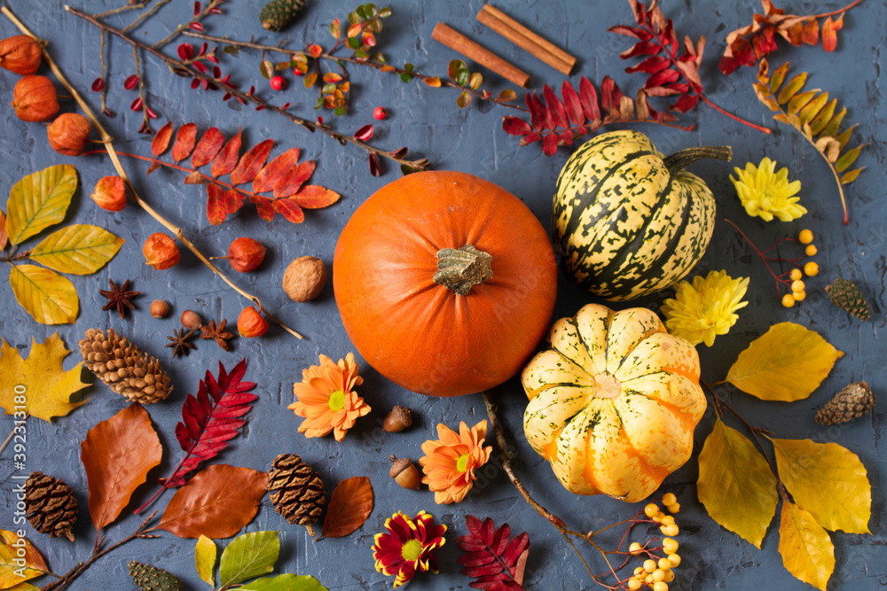 Φωτογραφία Autumn leaves, pumpkin, pine cones and flowers on gray background