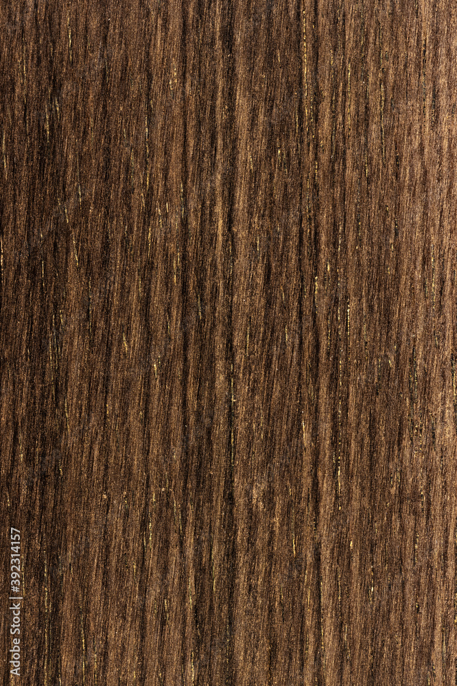 Wood Cross Section Texture Background Stock Photo | Adobe Stock