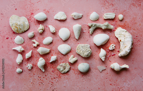 White objects found on the shoreline. photo