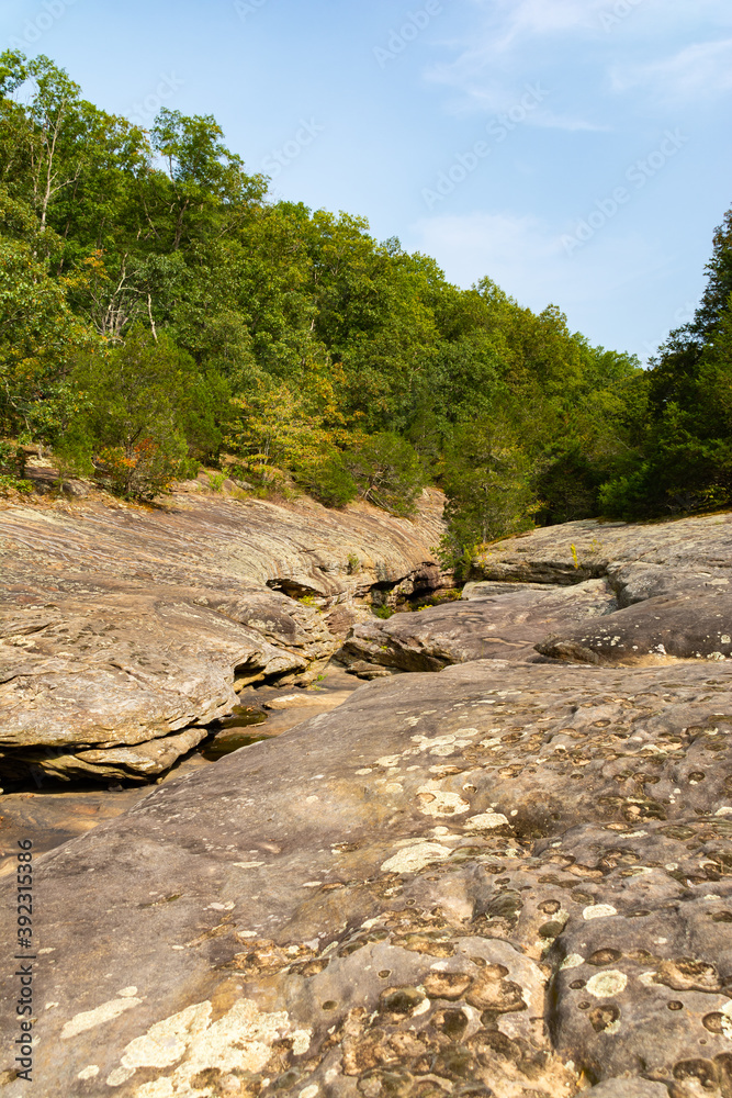 Bell Smith Springs Landscape