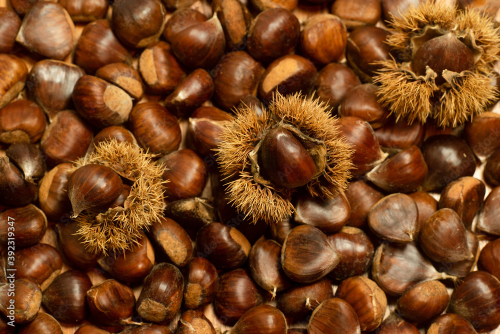 autumn details. chestnuts with shell