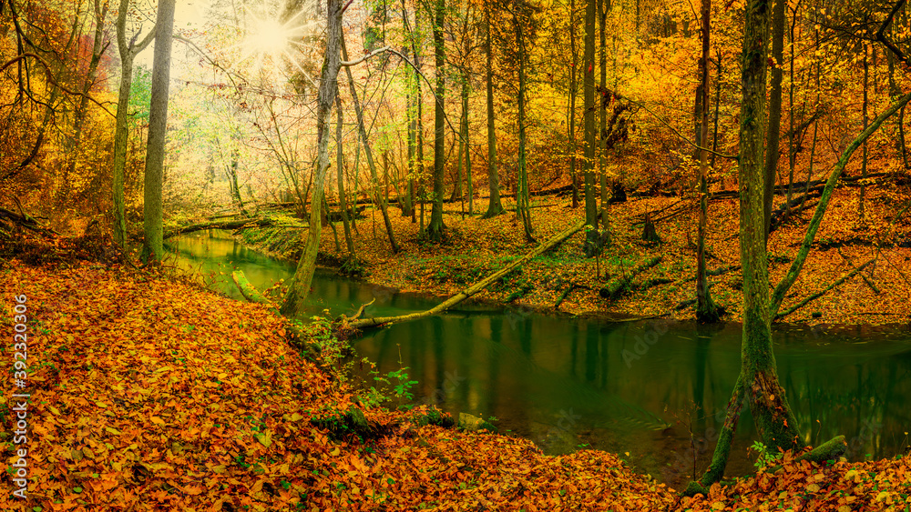 jesień nad rzeką Łyną na Warmii w północno-wschodniej Polsce - obrazy, fototapety, plakaty 